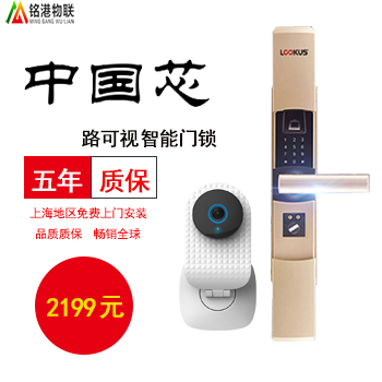 經(jīng)濟(jì)版智能指紋密碼門鎖套餐